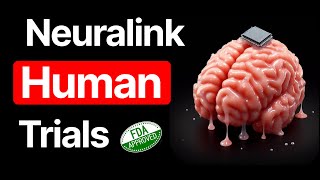 Founders React to FDA Approving Neuralink Human Trials [upl. by Kannry]