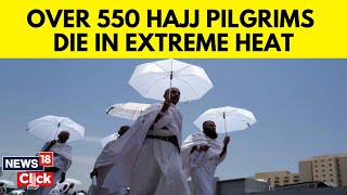 Hajj 2024 News Updates  Extreme Heat Kills At Least 550 Mostly Egyptian Pilgrims  G18V  News18 [upl. by Kinghorn]