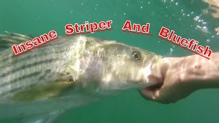 Rhode Island Striper Fishing and Bluefish Blitz [upl. by Askwith926]