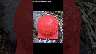 Bravest boy🤣😂🤯funny comedycomedystorys funnyjokes funnystories new satisfying redditstories [upl. by Yci]