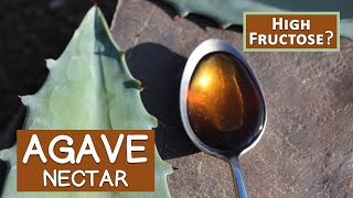 Agave Nectar Is It Like High Fructose Corn Syrup [upl. by Columbus]