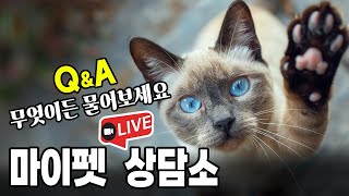 제212화 마이펫 라이브 상담소 고양이 Q n A [upl. by Cheng]