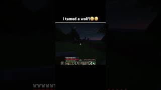 I tamed a wolf😳😳 minecraft minecraftmemes shorts [upl. by Ludvig75]