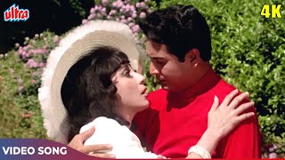 विश्वजीत और माला सिन्हा का रोमांटिक अंदाज़ 4K  Night in London  Superhit Hindi Classic Songs [upl. by Assirehc]