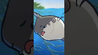 Ocean Sunfish 🌕🐡 animation original cartoon [upl. by Isma]