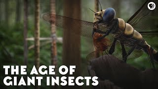 The Age of Giant Insects [upl. by Kcirdahc433]