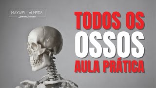 Explicação rápida de TODOS os OSSOS do corpo humano  AULA PRÁTICA no Anatômico [upl. by Ahsehat790]