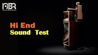 HiRes Audiophile Test 24 Bit  Best Voices amp Instrumental  Audiophile NBR Music [upl. by Aehc]