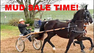 AMISH LAND MUD SALE 2024 RAWLINSVILLE Volunteer Fire Company Mud Sale Lancaster County PA [upl. by Kcirednek]