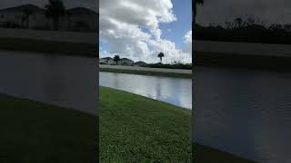 Thunderbirds at Orlando Sanford Air Show [upl. by Yewed]