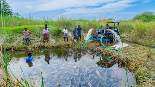 Pond Water Fish Catching and Cooking Fish Gravy in our Village  Country Fishing [upl. by Toiboid]