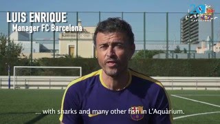 LUIS ENRIQUE  20 Aniversario de LAquàrium de Barcelona [upl. by Caril999]