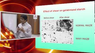 IMK421  Lecture 6  18th October 2012 — Starch Gelatinization Part 2 [upl. by Nelyk]