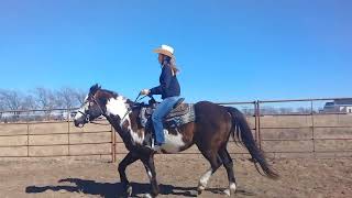 The Western Rising or posting trot and explaining diagonals on the rail  Youth Horse Riding Lesson [upl. by Eimas176]