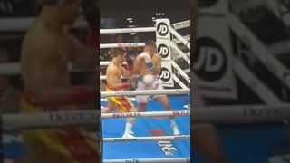 SloMo Another sneak Bam Rodriquez uppercut lands vs Sor Rungvisai boxing fighting boxeo [upl. by Schilt]