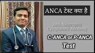 Anca test in hindi  C Anca Test  A anca Test  AntiNeutrophil Cytoplasmic Antibodies In Hindi [upl. by Anson187]