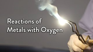 The Reaction of Metals with Oxygen [upl. by Simonette]