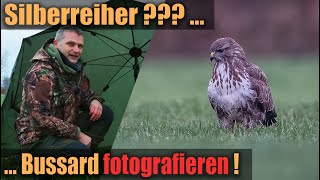 Ganz anders als geplant 📷 der Mäusebussard 🦅 [upl. by Athalla312]