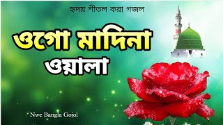 ওগো মাদিনা ওয়ালা । হৃদয় শীতল করা গজল ।। Ogo Madina wala । Gojol Naiem Raza [upl. by Aluino703]