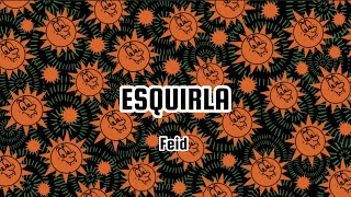 Feid  ESQUIRLA Letra  Lyrics [upl. by Anaig89]