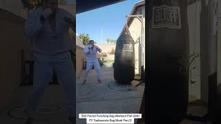 500 Pound Punching Bag Workout Part 284 ITF Taekwondo Bag Work Part 2 [upl. by Llehsram]