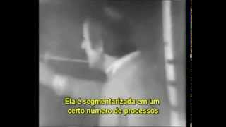 Gilles Deleuze quotDois regimes de signosquot legendas em português [upl. by Zulch448]