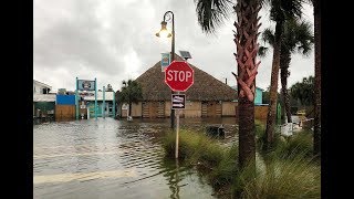 LIVE Hurricane Michael coverage Storm grows into Category 4 [upl. by Atiraj]