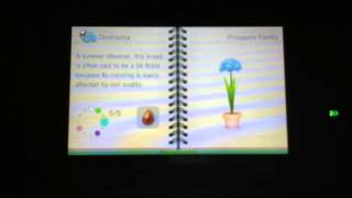 Every Flower In Flower Town 3ds [upl. by Eenal]