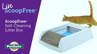 Live ScoopFree® with the PetSafe® ScoopFree® SelfCleaning Litter Box [upl. by Odetta]