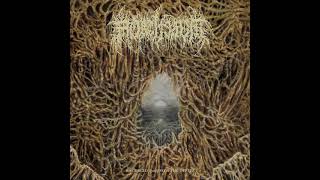 Mortiferum  Disgorged From Psychotic Depths Full Album [upl. by Kelula247]