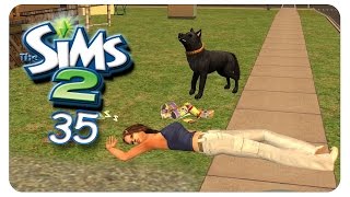 Nickerchen im Vorgarten 35 Die Sims 2  Alle Addons  Gameplay 1080p [upl. by Ssitnerp]