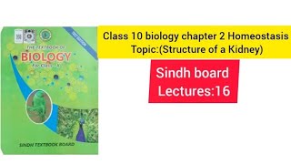 Class 10 biology chapter 2 Homeostasis topic Structure of a Kidney Full Explain [upl. by Esila]