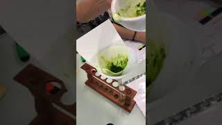 Extraction de la chlorophylle pour vérifier les expériences d’engelmann [upl. by Claudie79]