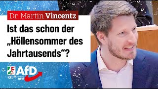 SPD enttäuscht Weltuntergang abgesagt – Dr Martin Vincentz AfD [upl. by Enelez]