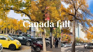 A TYPICAL AUTUMN DAY IN SASKATOON🍂 CANADA with relaxing music for sleep [upl. by Eanel]