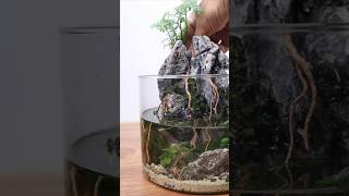 Making a magical mini paludarium with waterfall [upl. by Koehler]