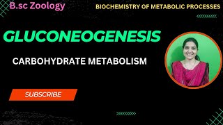 Gluconeogenesis B Sc 3rd YearCarbohydrate MetabolismCore Paper X [upl. by Nahtannoj]