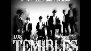 Los Temibles  Mix cumbias quotSi Estuvieras Conmigoquot CD 2013 [upl. by Yevol506]