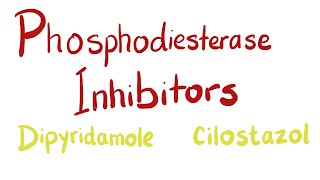 Phosphodiesterase PDE Inhibitors [upl. by Liatris89]