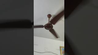 Ceiling fan Two fans ceilingfan ceilingfansound like share subscribe fansound fans ❤❤❤ [upl. by Warenne]