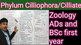 phylum cilliophora Cilliatespellicular structurenutrition [upl. by Emiaj]