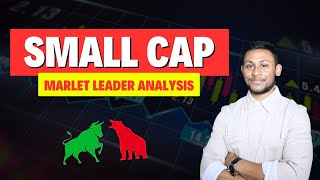 Small Cap Market Leader  Fundamental Analysis [upl. by Kowal148]