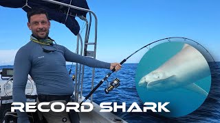 Record 150 SHARK catch in Paradise [upl. by Atinnod]