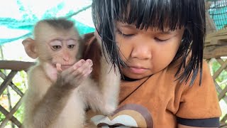 Baby monkey eat watermelon so good [upl. by Eirrol]