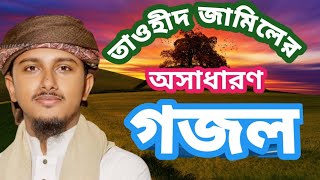 তাওহীদ জামিলের অসাধারণ গজল Tawhid Jamil gojolforyou [upl. by Haldes196]