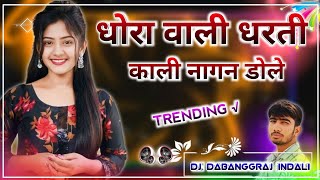 DHORA WALI DHARTI KALI NAGAN DOLE REMIX  ANIL NAGORI  INSTAGRAM VAIRAL  DJ DABANGGRAJ INDALI 😘 [upl. by Leuname188]