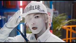 Cells at Work Gets a LiveAction Movie Adaptation Starring Mei Nagano and Takeru Satoh [upl. by Ahasuerus]