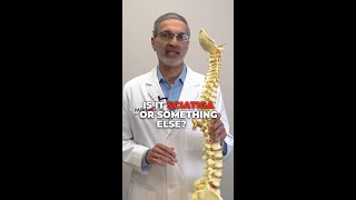 Is My Back Pain Sciatica Or Something Else [upl. by Arek]