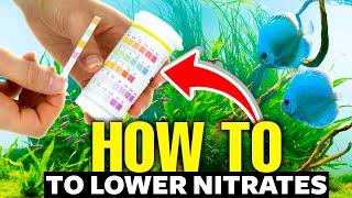 Heres How To Lower Nitrates In An Aquarium FAST👨‍🔬 [upl. by Ahtamat308]