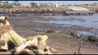 Tsunami Footage  Kahului Harbor Maui  Friday March 11 2011 by Wendy Osher [upl. by Ausoj]